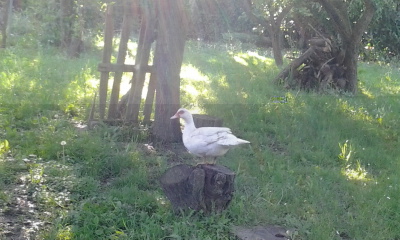 Foto0302.jpg Foto0302.jpg