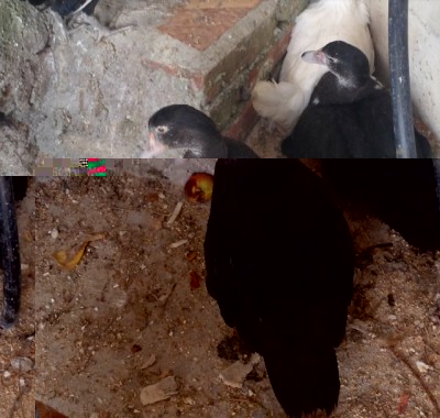 image.jpg (144.4 KiB) Osservato 661 volte image.jpg