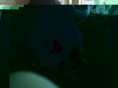 foto0179.jpg (98.13 KiB) Osservato 671 volte foto0179.jpg