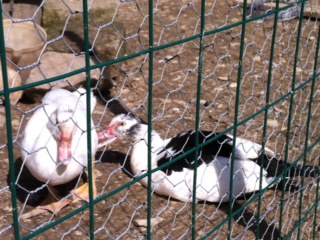 foto 5.JPG foto 5.JPG