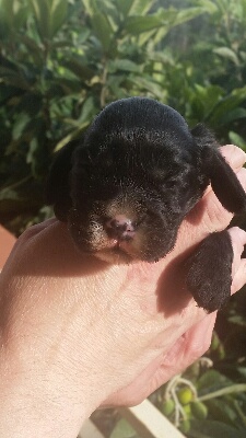 rps20150418_115541_352.jpg rps20150418_115541_352.jpg