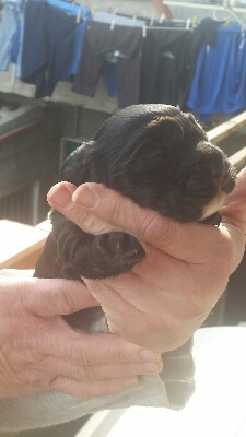 rps20150418_115639_561.jpg rps20150418_115639_561.jpg