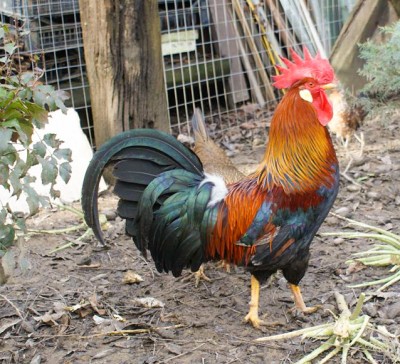 DSC01152_1161x652_edited.jpg (226.7 KiB) Osservato 574 volte DSC01152_1161x652_edited.jpg