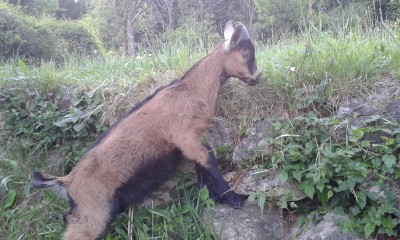 20150430_184128.jpg (281.52 KiB) Osservato 518 volte 20150430_184128.jpg