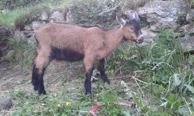 20150430_184058.jpg (298.4 KiB) Osservato 518 volte 20150430_184058.jpg