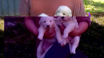 WP_20150705_10_45_08_Pro_800x449.jpg (107.44 KiB) Osservato 578 volte WP_20150705_10_45_08_Pro_800x449.jpg