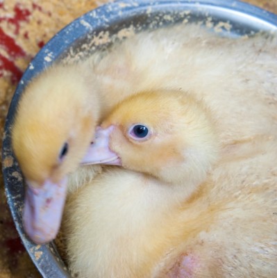 2.jpg (116.25 KiB) Osservato 642 volte 2.jpg