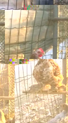 WP_20150904_19_11_00_Pro.jpg (58.54 KiB) Osservato 721 volte WP_20150904_19_11_00_Pro.jpg