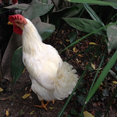 valdarno.JPG (155.36 KiB) Osservato 687 volte valdarno.JPG