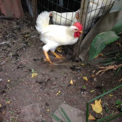 valdarno2.JPG (213.35 KiB) Osservato 687 volte valdarno2.JPG