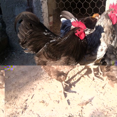 image.jpg (293.71 KiB) Osservato 522 volte image.jpg