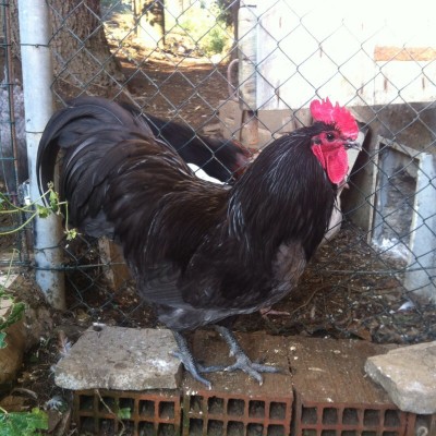 image.jpg (238.02 KiB) Osservato 522 volte image.jpg