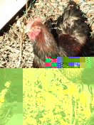 10292015225210.jpg 10292015225210.jpg