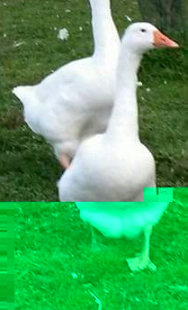 FB_IMG_1450456858082-1.jpg FB_IMG_1450456858082-1.jpg