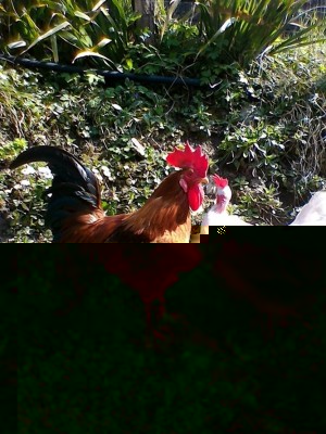 3.jpg (364.65 KiB) Osservato 591 volte 3.jpg