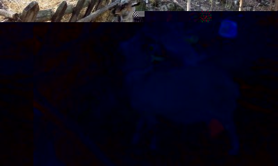 3.JPG (112.63 KiB) Osservato 974 volte 3.JPG