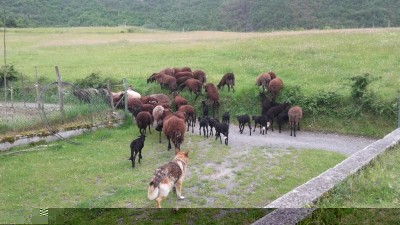 20160531_180637.jpg (126.83 KiB) Osservato 699 volte 20160531_180637.jpg