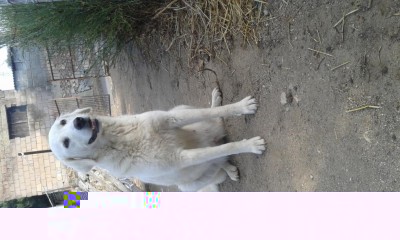 ecco la mamma / 20160914_091322.jpg 20160914_091322.jpg