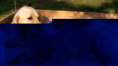 78468621004527.jpg (30.41 KiB) Osservato 685 volte 78468621004527.jpg