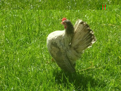 1.jpg (179.23 KiB) Osservato 693 volte 1.jpg