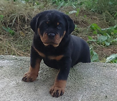 to1.jpg (335.73 KiB) Osservato 606 volte to1.jpg