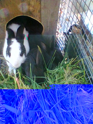 2.jpg (124.84 KiB) Osservato 597 volte 2.jpg