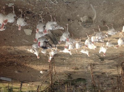 image.jpg (164.91 KiB) Osservato 1103 volte image.jpg