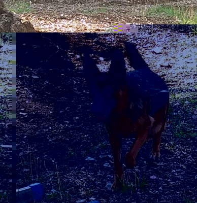 20170914_173231-1.jpg (196.43 KiB) Osservato 1020 volte 20170914_173231-1.jpg