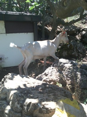 IMG_20180720_123444.jpg (126.37 KiB) Osservato 654 volte IMG_20180720_123444.jpg