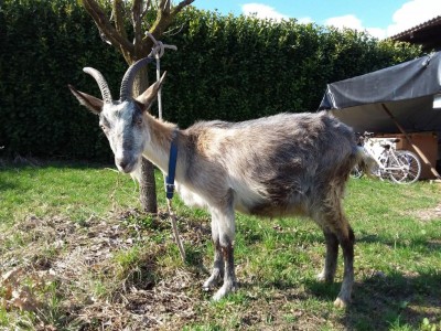 20180313_144440.jpg (206.66 KiB) Osservato 1031 volte 20180313_144440.jpg