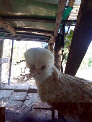 IMG_20180813_103018.jpg (100 KiB) Osservato 789 volte IMG_20180813_103018.jpg