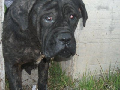 ne4.jpg (53.21 KiB) Osservato 680 volte ne4.jpg