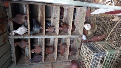 Forse viene storta / 20221119_110512.jpg 20221119_110512.jpg