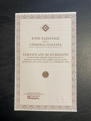 Certificato di Iscrizione R.O.I..jpeg (140.57 KiB) Osservato 2285 volte Certificato di Iscrizione R.O.I..jpeg