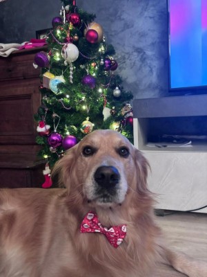 Foto 2.jpeg (83.81 KiB) Osservato 152 volte Foto 2.jpeg