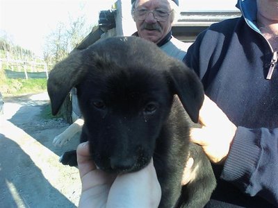 fatto.jpg (45.64 KiB) Osservato 774 volte fatto.jpg