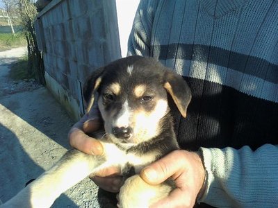 fatto1.jpg (55.62 KiB) Osservato 774 volte fatto1.jpg