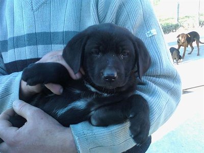 fatto2.jpg (53.65 KiB) Osservato 774 volte fatto2.jpg