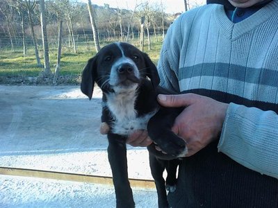 fatto3.jpg (64.15 KiB) Osservato 774 volte fatto3.jpg