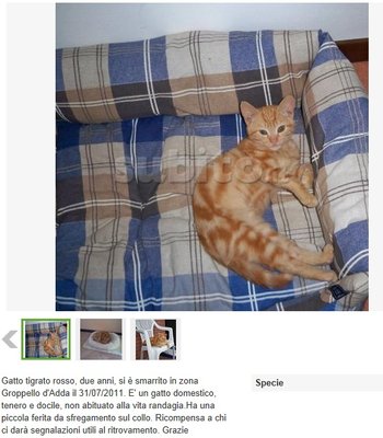 annuncio.jpg (113.92 KiB) Osservato 620 volte annuncio.jpg