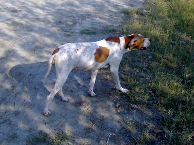 09082011807.jpg (121.23 KiB) Osservato 747 volte 09082011807.jpg