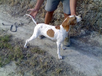 09082011809.jpg (155.97 KiB) Osservato 747 volte 09082011809.jpg