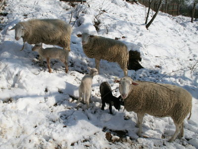 Quello nel centro è peppe / peppe.jpg peppe.jpg