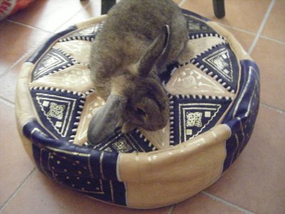 flint.jpg (239.35 KiB) Osservato 704 volte flint.jpg