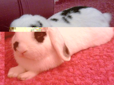 marlin.jpg (70.56 KiB) Osservato 704 volte marlin.jpg