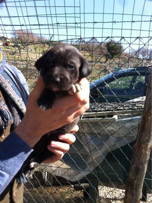 3.jpeg (114.32 KiB) Osservato 648 volte 3.jpeg