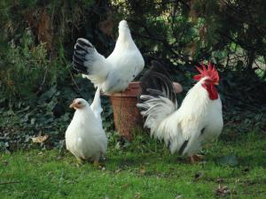 dsc03533.jpg dsc03533.jpg