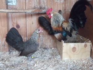 dscf3851.jpg dscf3851.jpg