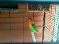 1337102669589.jpg 1337102669589.jpg