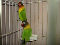 1337102697465.jpg 1337102697465.jpg